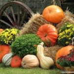 Fall Festival Pumpkin Hay display