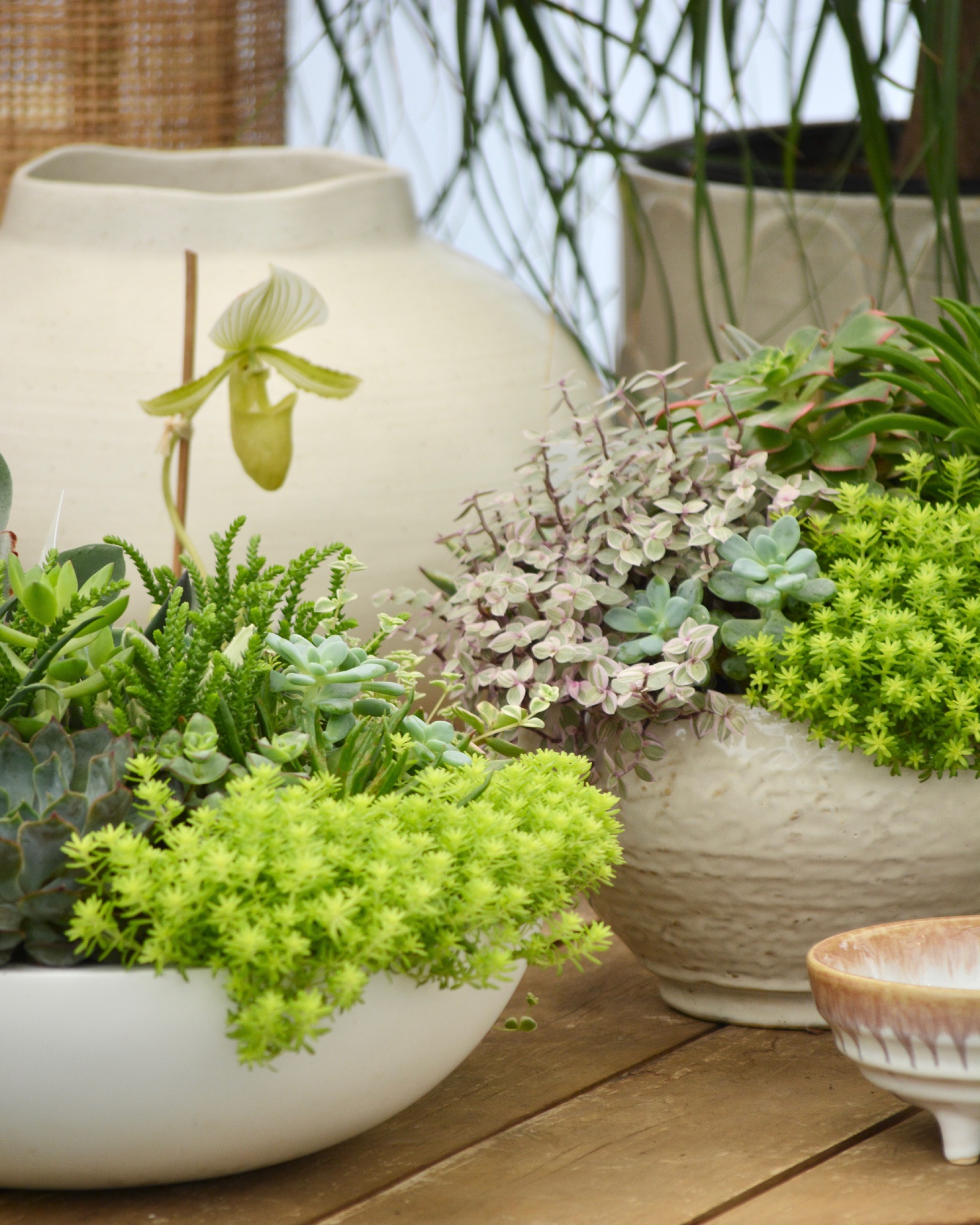 LGOL Planting Page Tiles (2)