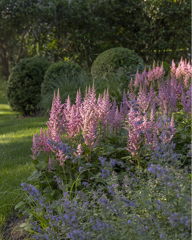 Seasonal Plantings